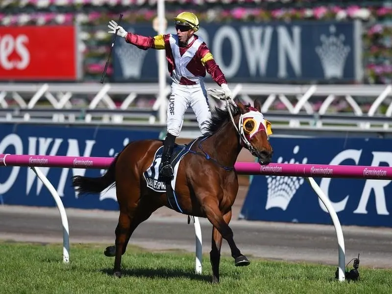 Lasqueti Spirit has been over jumps in an attempt to switch her on for the Tancred Stakes. lasqueti spirit