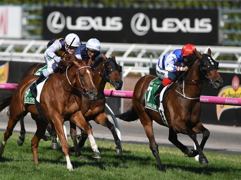 Fresh from his G1 win on Harlem (r) at Flemington Michael Walker heads to the Sydney carnival. walker