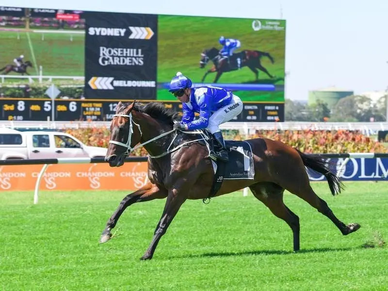 Winx during exhibition gallop. Chandon S Ladies Day at Rosehill.