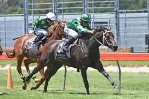 Gift Of Power Gift Of Power primed for Trophy Premier at Awapuni