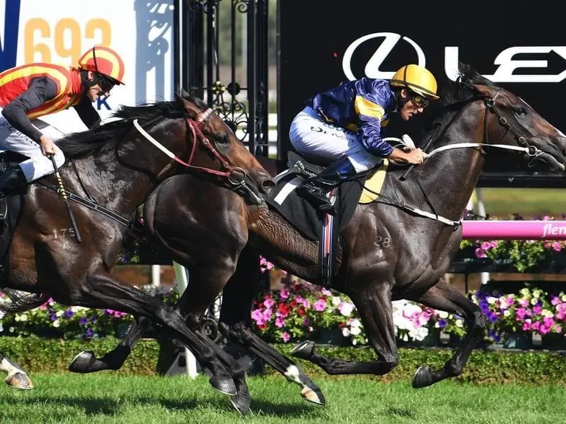 Grunt wins the Australian Guineas.