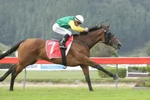Hinerangi Hinerangi makes it a winning treble at Trentham