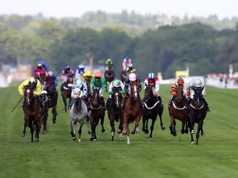 Clondaw Warrior (right) is a Royal Ascot winner set to make his Australian debut as an 11-year-old. Clondaw Warrior