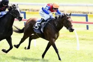 Pop Star Princess Dazzling maiden win by Pop Star Princess