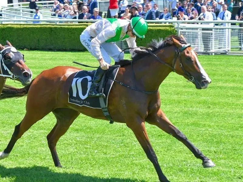 Just Shine wins at Randwick.