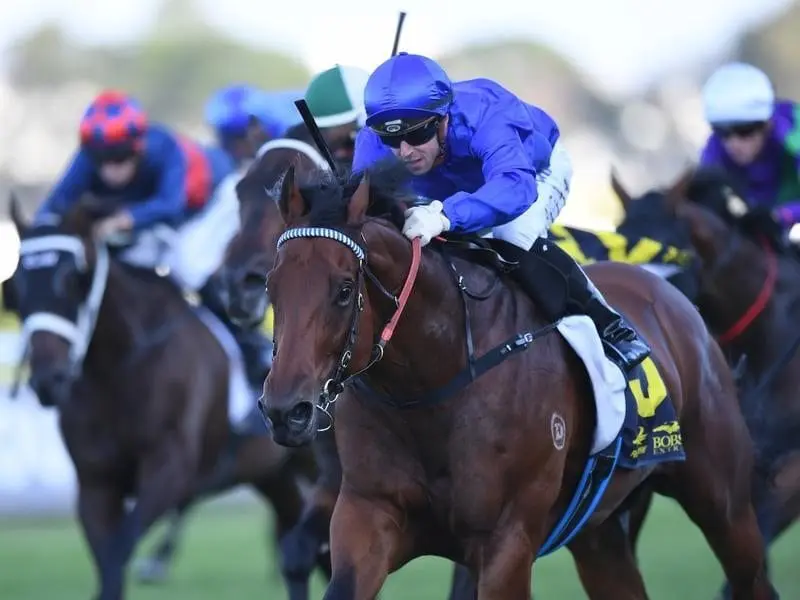 Osborne Bulls ridden by Brenton Avdulla