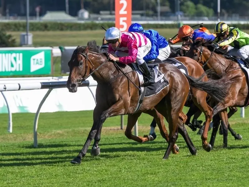 Guy Walter Stakes winner Dixie Blossoms is an early favourite for the Group One Coolmore Classic. Dixie Blossoms wins the Guy Walter Stakes.