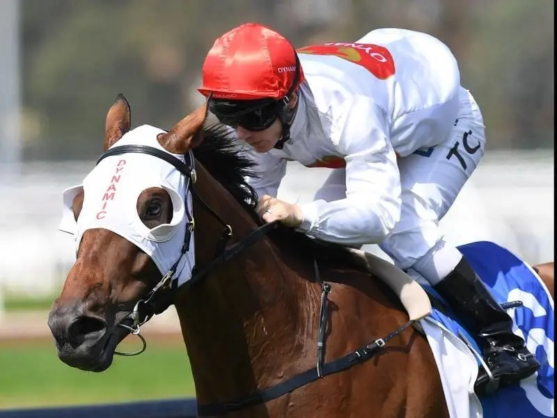 Arbeitsam will target the Doncaster Mile after winning in the Neville Sellwood Stakes at Rosehill. Arbeitsam ridden by Tim Clark