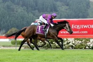 Sir Nate a 8705 NZ Friday news briefs - Kiwi competing in Dubai Gold Cup