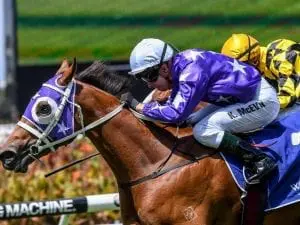 Rain to boost Fiesta’s Golden Slipper bid Rain to boost Fiesta's Golden Slipper bid