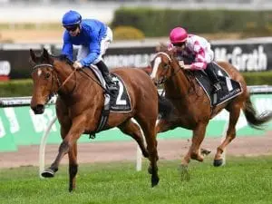 Alizee to be tested at 2000 metres Alizee to be tested at 2000 metres