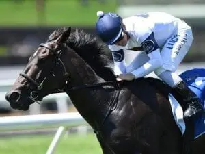She Will Reign ready to win: Gary Portelli She Will Reign ready to win: Gary Portelli