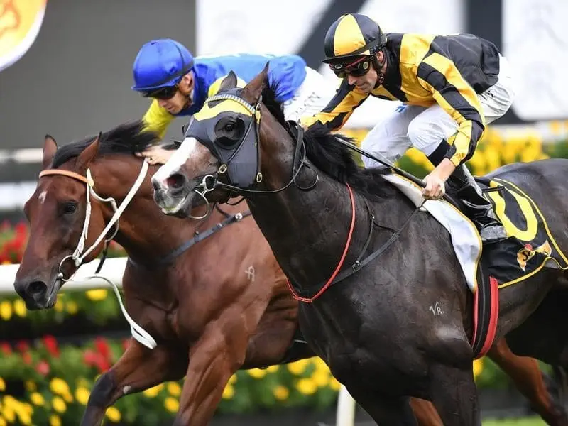 Trapeze Artist ridden by Tye England (right)