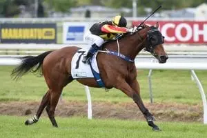 Art Deco Art Deco sizing up for black type racing