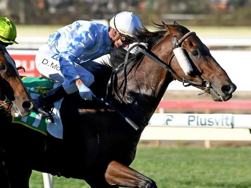 Jockey Daniel Moor riding Dodging Bullets.