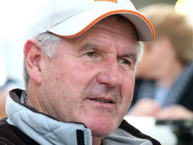 The John Sadler-trained Observational will line up at Bendigo trying to win his third Golden Mile. john sadler