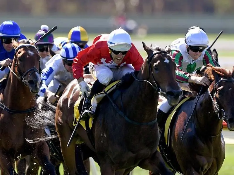 Jockey Noel Callow rides Thrillster to win race three at Bendigo