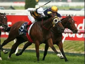 Fastnet Tempest scores for Lindsay Park Fastnet Tempest scores for Lindsay Park