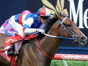 Williams and Property reunite at Caulfield Williams and Property reunite at Caulfield