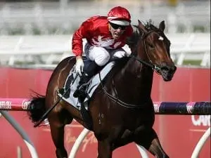 Thrillster win perfect tonic for Corstens Thrillster win perfect tonic for Corstens