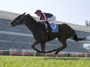 Waging War impresses with Caulfield win Waging War impresses with Caulfield win