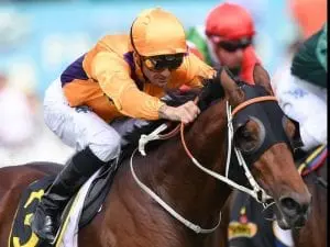 Corey Brown plans smooth run on Irukandji Corey Brown plans smooth run on Irukandji