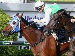 Brooker and Hansen chase more success Brooker and Hansen chase more success