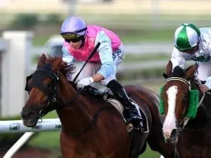 Aqua Vite ready for first stakes win Aqua Vite ready for first stakes win