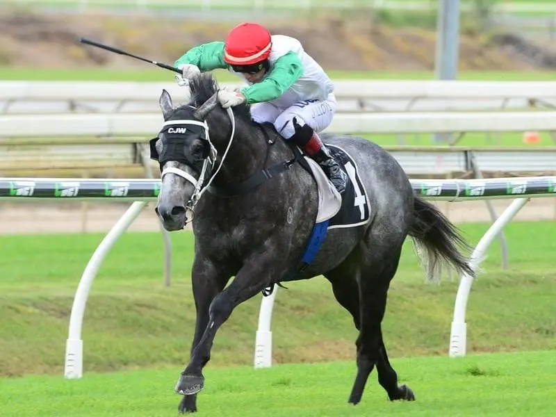 Jockey Jeff Lloyd rides Xebec to victory
