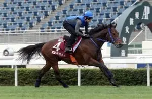 Fine Needle Japan chases first Chairman’s Sprint Prize