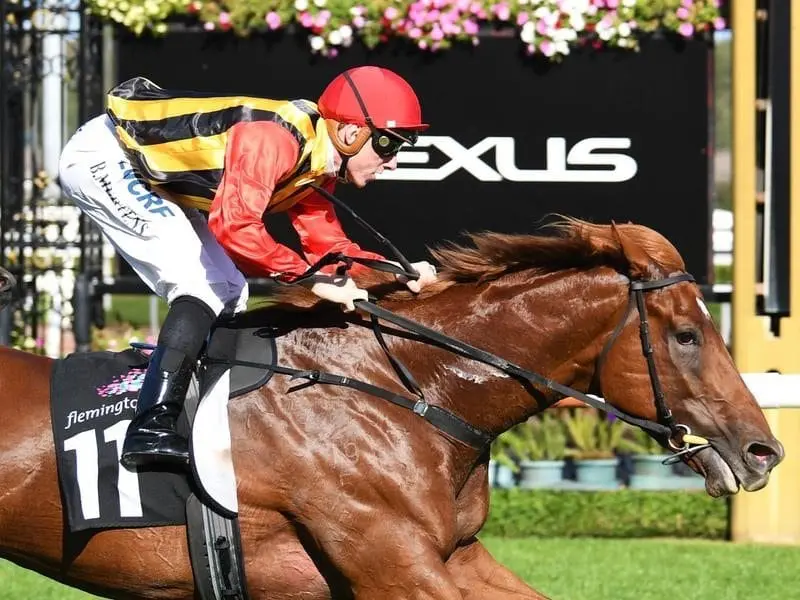 Vassilator wins at Flemington.