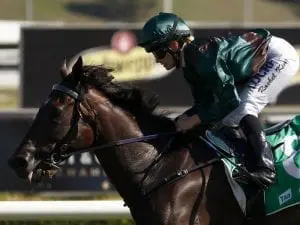 Lanciato all set for Doncaster Mile Lanciato all set for Doncaster Mile