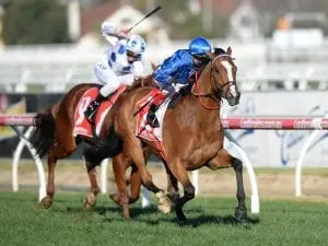 Hartnell entered for All Aged Stakes Hartnell entered for All Aged Stakes