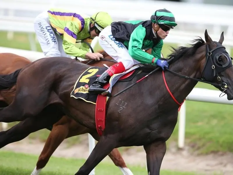 Dual Group Two winner Super Cash will get her chance at the highest level in the Robert Sangster. super cash