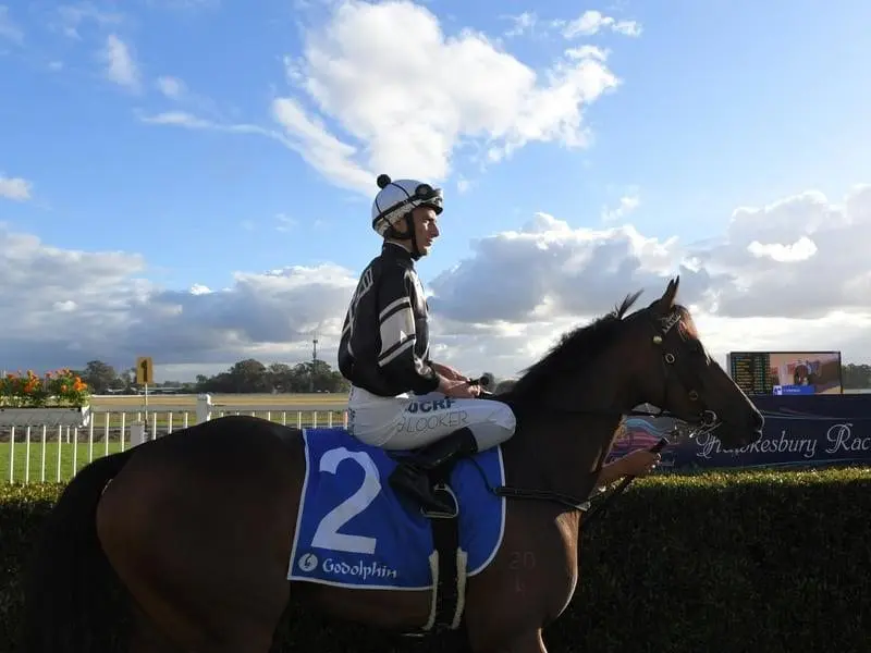 Trainer Jenny Graham will assess Qld plans for Victorem after his second in the Hawkesbury Guineas. victorem