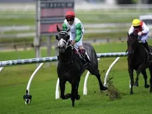 Chris Waller to increase Qld presence