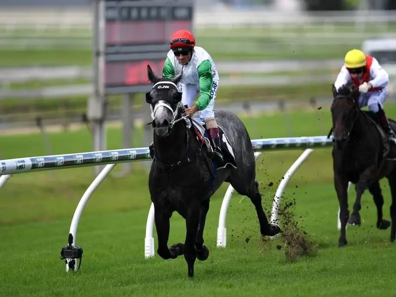 Xebec is the latest Queensland success story for trainer Chris Waller's Gold Coast stable. xebec