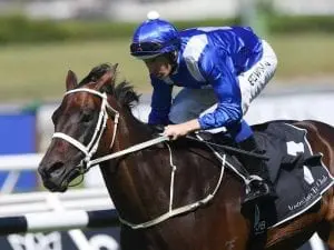 Winx on top of the world Winx on top of the world