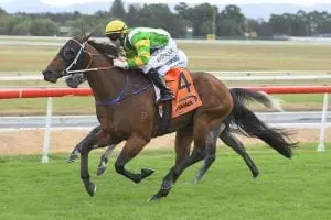 Glenall Glenall strikes winning form in Gold Rush