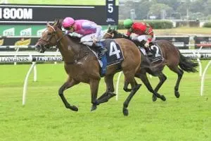 Goathland Goathland wins Anzac Day Cup for Kim Waugh