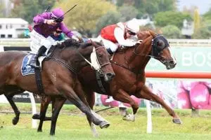 LONDARO Tactical ride pays dividends for Collett and Londaro at Hastings