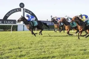 Marsupial Godolphin winter up and running Brisbane