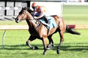 Media Sensation Filly’s name in lights again