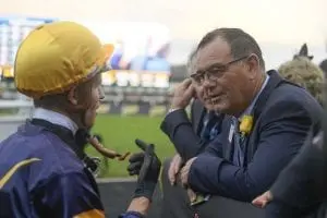 Michael Moroney Top dog Tribal Wisdom bound for Brisbane