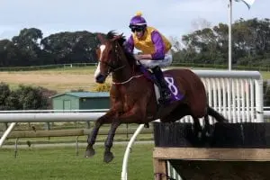 Monarch Chimes Training pair Chime in with jumps win across Tasman
