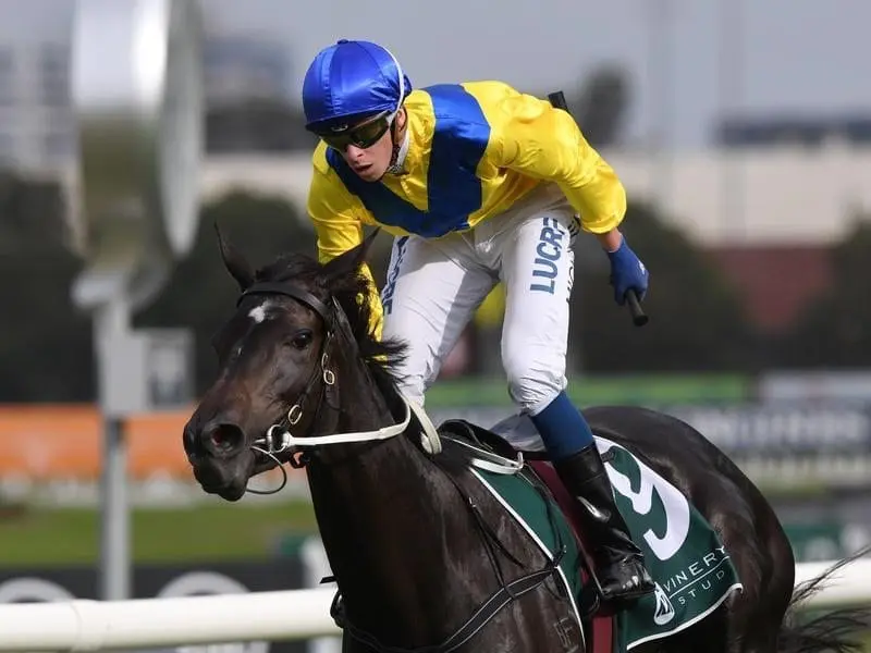 Michael Dee will be reunited with Vinery Stud Stakes winner Hiyaam in the Australian Oaks. hiyaam oaks