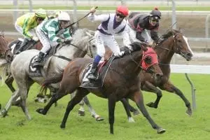 Ocean Emperor Hennessy’s racing travels to continue