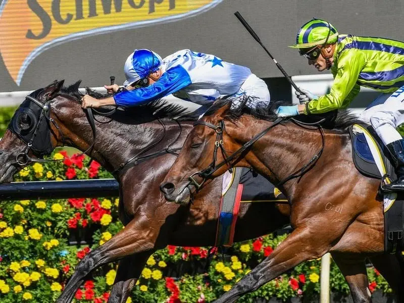 Blake Shinn riding Sir Charles Road has won race five at Randwick