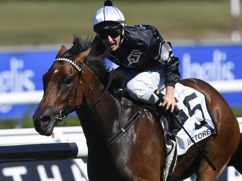 Victorem, ridden by Ben Looker, wins race four at Randwick