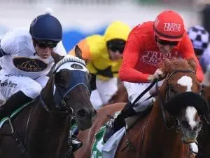 Burning Passion claims Hall Mark Stakes Burning Passion claims Hall Mark Stakes